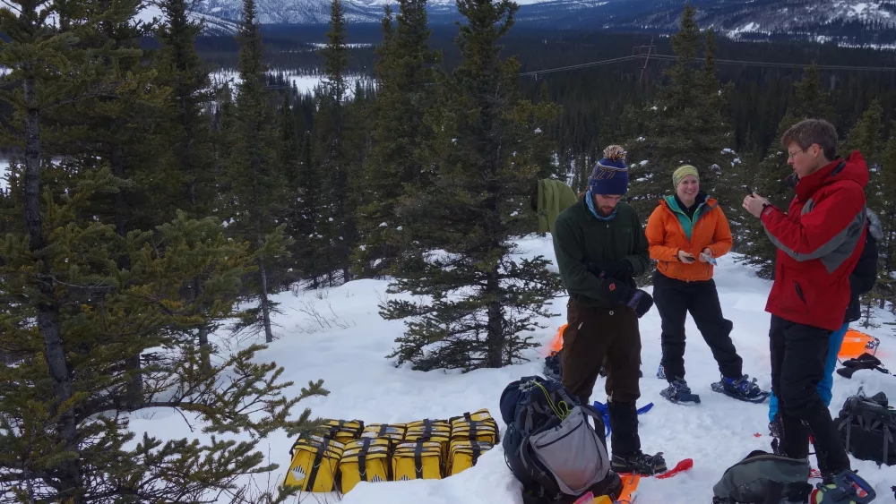 From left, Cole Richards, Lynn Kaluzienski and Carl Tape prepare to stick seismometers in frozen ground during a February 2019 mission to deploy instruments along the Denali seismic fault. The instruments helped scientists recently find the presence of a body of molten rock 7 miles deep. Photo by Ned Rozell.