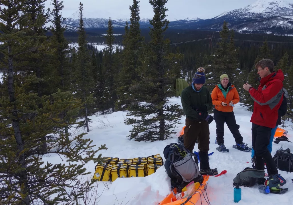 From left, Cole Richards, Lynn Kaluzienski and Carl Tape prepare to stick seismometers in frozen ground during a February 2019 mission to deploy instruments along the Denali seismic fault. The instruments helped scientists recently find the presence of a body of molten rock 7 miles deep. Photo by Ned Rozell.