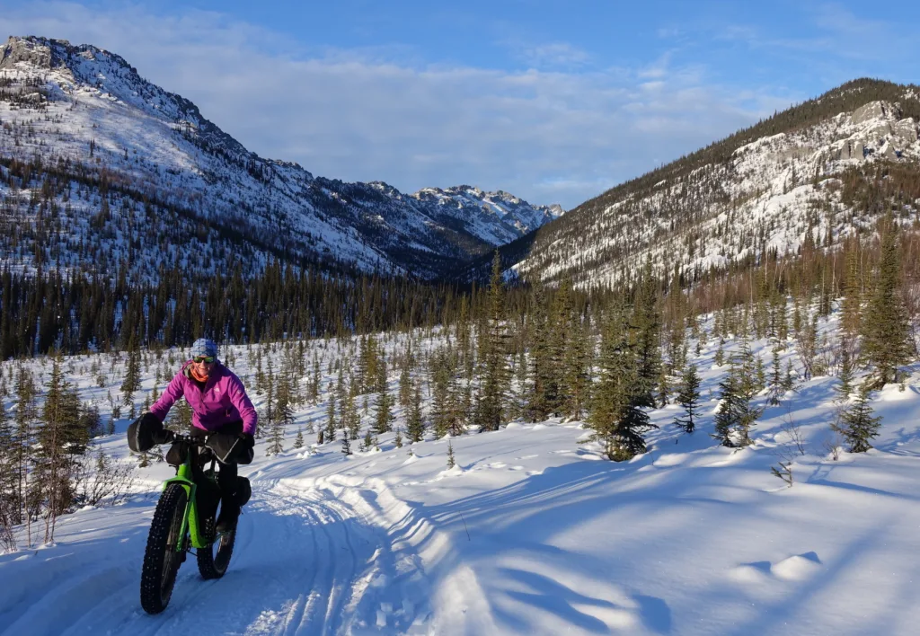 Hydrologist Heather Best rides her fat bike in the White Mountains National Recreation Area north of Fairbanks. Photo by Ned Rozell.