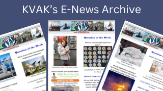 E-News-Archive-Web-Image-320x180