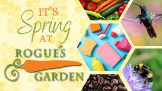 Rogue's Spring graphic
