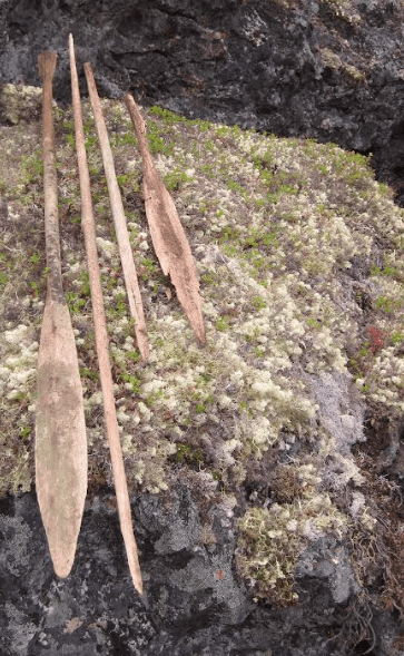 3. Paddles and spear shafts sit outside a cave on the Seward Peninsula in 2012 after being recovered by Jeanne Schaff, now retired from the National Park Service. Photo by Jeanne Schaff.