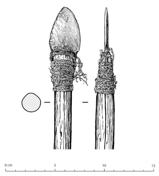 An illustration shows details of a lance with a stone point held in place with a wrap of caribou sinew. The lance was found in a cave on the Seward Peninsula. Illustration by Eric Carlson, courtesy of Jeff Rasic, National Park Service.