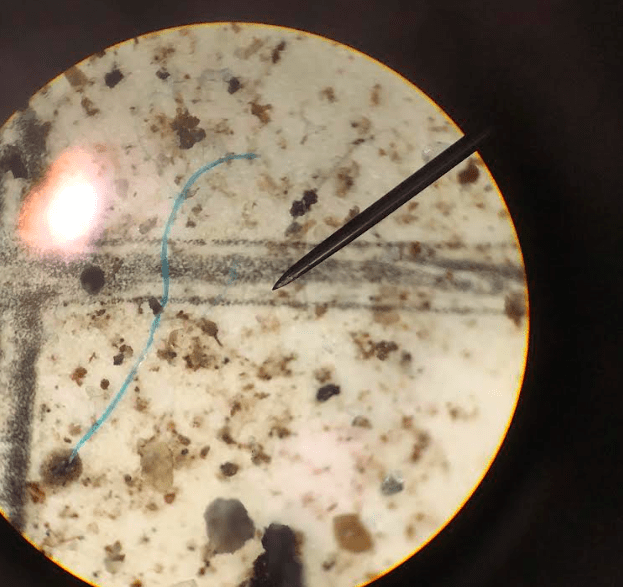 2. A tiny blue plastic fiber that fell within a raindrop in the Thane area of Juneau, Alaska. The view is of filter paper that captured the plastic fiber, as viewed through a microscope. Photo courtesy Sonia Nagorski, a professor at the University of Alaska Southeast in Juneau.