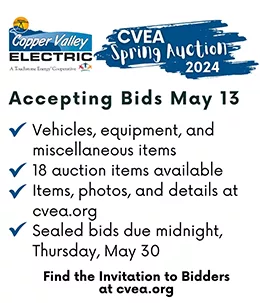 CVEA Spring Auction