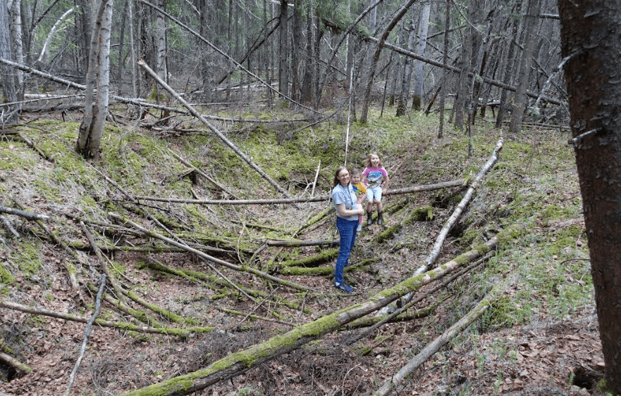 Leanne Bulger stands holding her daughter Violet, 2, next to Rose, 6, within a sunken thawed-permafrost feature called a thermokarst in the boreal forest on the University of Alaska Fairbanks campus on May 22, 2024.