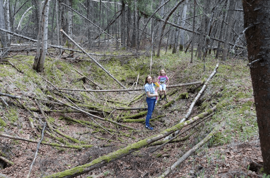 Leanne Bulger stands holding her daughter Violet, 2, next to Rose, 6, within a sunken thawed-permafrost feature called a thermokarst in the boreal forest on the University of Alaska Fairbanks campus on May 22, 2024.
