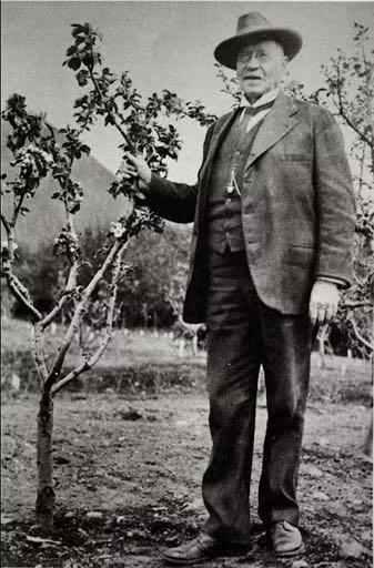 Charles Georgeson with an apple tree in Sitka around the year 1900. Photo by E.W. Merrill, public domain.