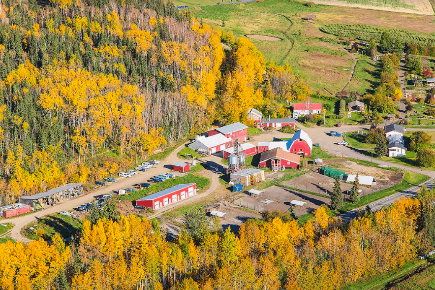3. The Fairbanks Experimental Farm on the University of Alaska Fairbanks campus opened in 1906. UAF photo by Todd Paris, taken in September 2014.