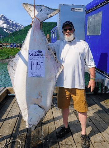 It generally takes a pretty big fish to win $10,000 in the Valdez Halibut Derby, but anglers are winning weekly prizes worth hundreds of dollars with fish weighing in at 120 to 150-pounds. This week, Tim Abney of Hamilton, Montana took home the 1st place prize for the week with a 145.6-pound halibut he caught June 21st aboard the Alaskan Adventurer.