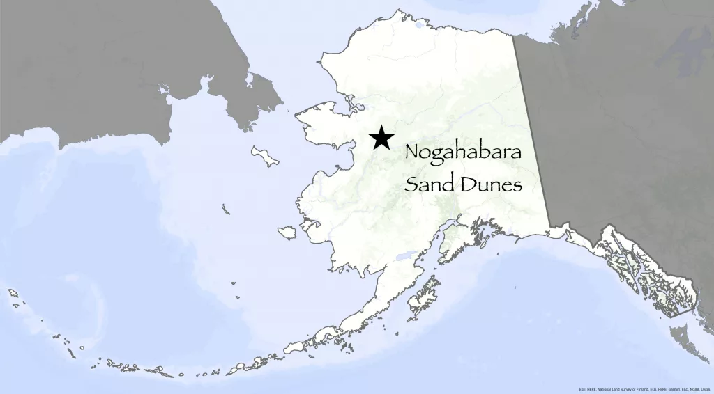 The Nogahabara Sand Dunes in the Koyukuk Wilderness Area west of Koyukuk River. 