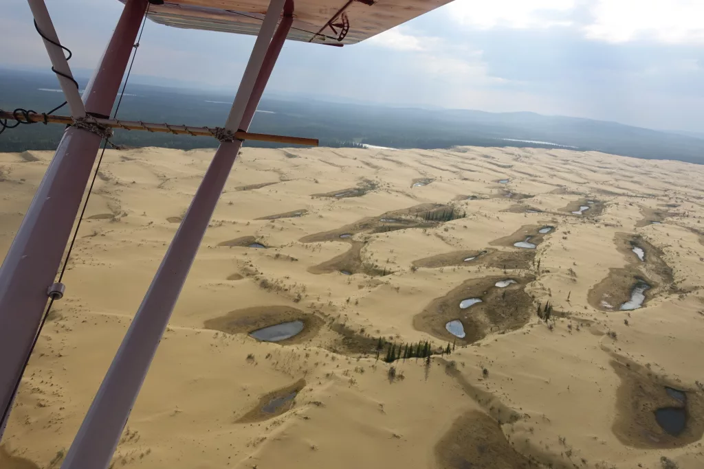 The Nogahabara Dunes, 35 miles west of Huslia, are pocked with oases that sometimes include spruce trees and wood frogs. Photo by Ned Rozell.