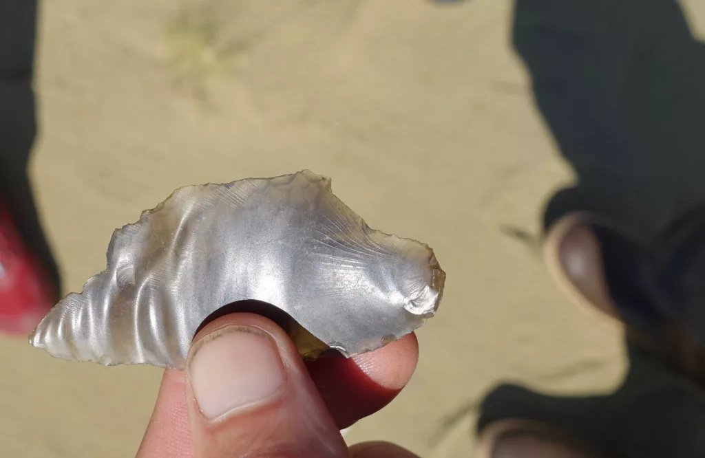 Ned Rozell found this obsidian flake at an archaeological site in the Nogahabara Dunes 35 miles west of Huslia. Photo by Ned Rozell.