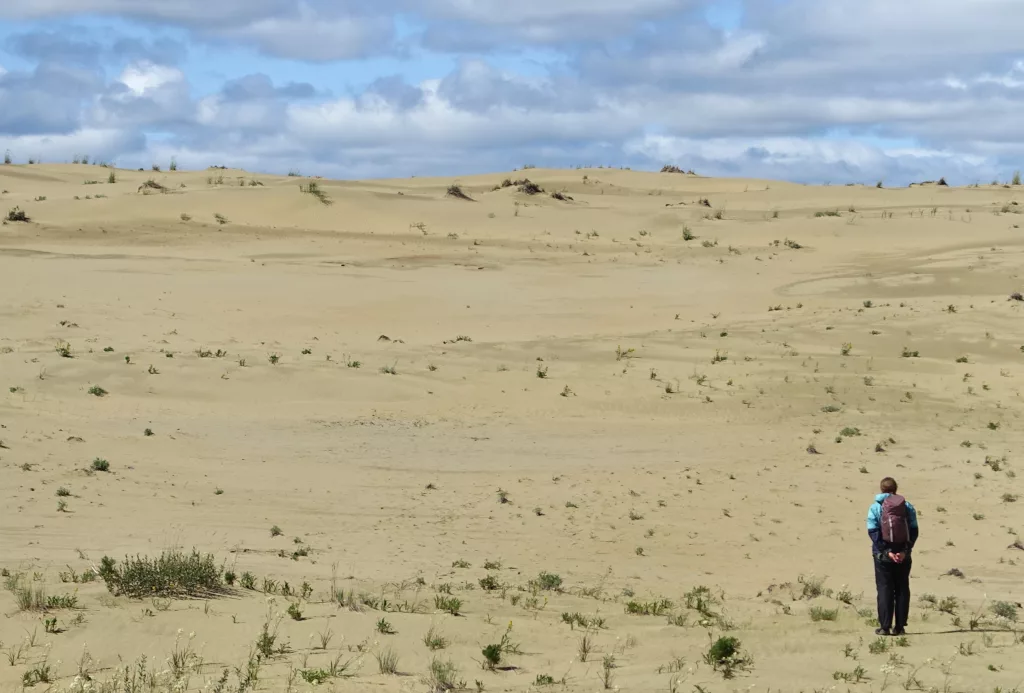 Ida Bodony ponders an archaeological site in the Nogahabara Dunes, 35 miles west of Huslia, shortly before walking back to camp. Photo by Ned Rozell.