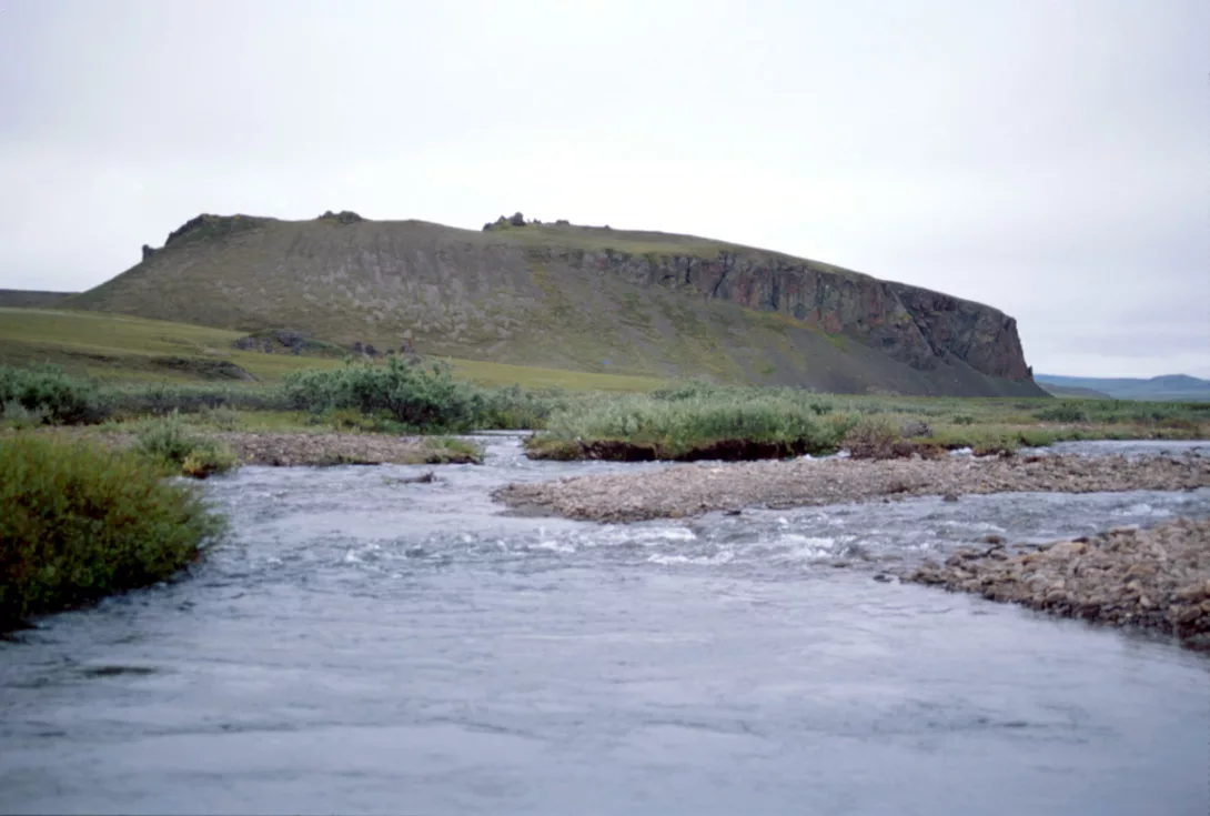 A creek runs beside the Mesa Site in northern Alaska. Photo by Dan Gullickson.