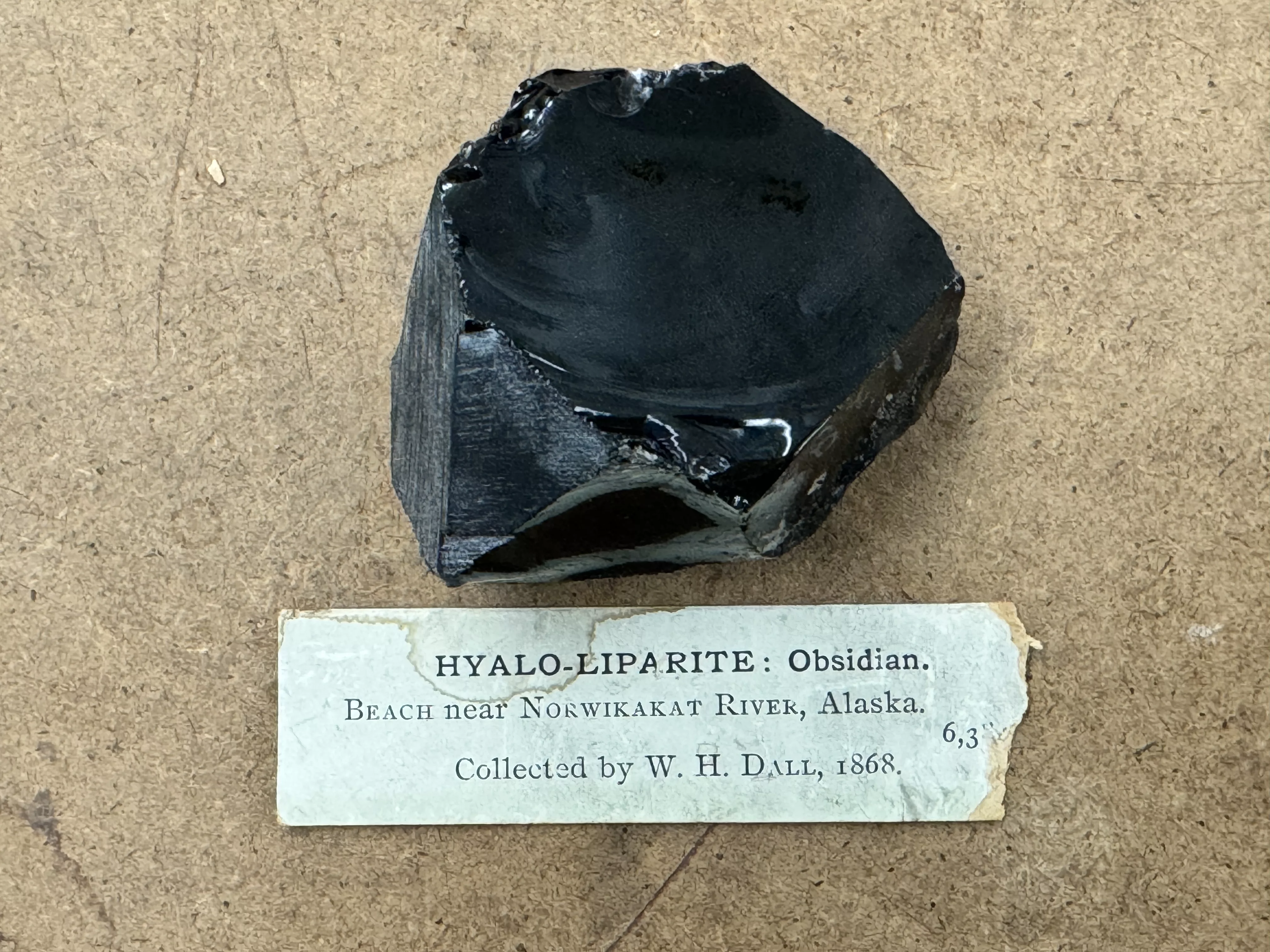 A piece of obsidian rock sits on display in the Smithsonian Institution in Washington, D.C. William Healey Dall collected the rock in 1868 near the Nowitna River in Interior Alaska. Photo by Jeff Rasic.