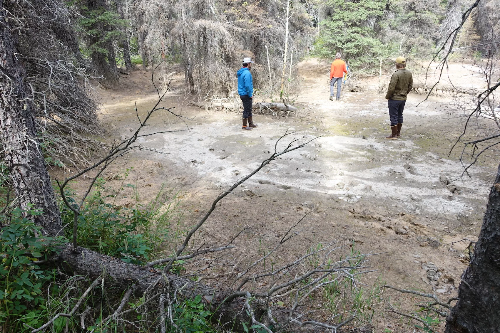 Scientists walk in a crater left behind by an iceberg stranded more than 300 years ago in a flood event caused by Black Rapids Glacier. Photo by Ned Rozell.