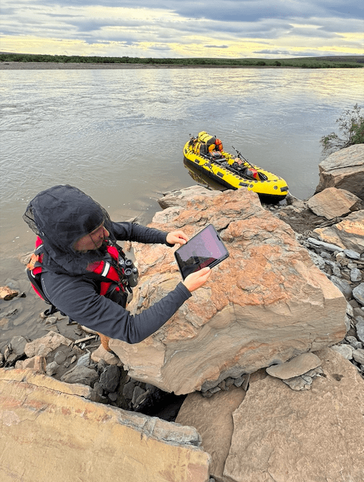 Florida State University graduate student Tyler Hunt scans a rock that contains several dinosaur footprints during a recent trip on the upper Colville River. Photo by Patrick Druckenmiller, UA Museum of the North.