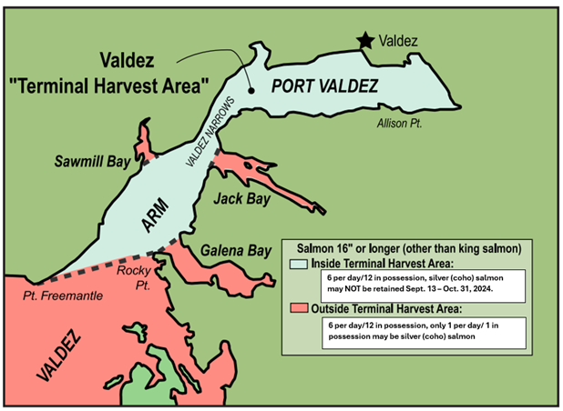 valdez-terminal-harvest-area-coho-salmon-sport-fishery-closed