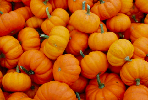 Pumpkins