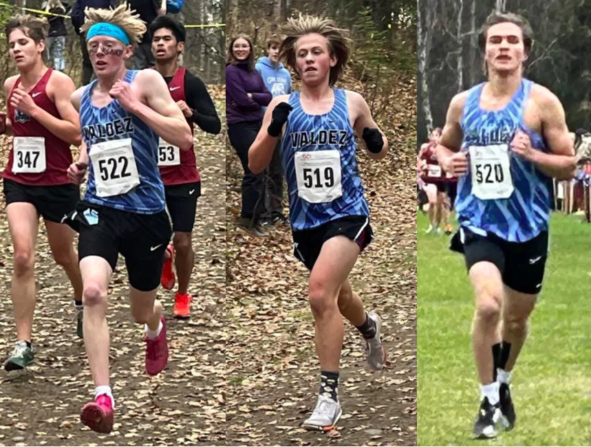 State Cross Country Running Championship in October, 2024. Runners on the trail. 