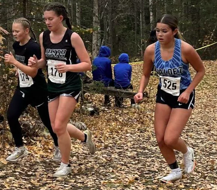 State Cross Country Running Championship in October, 2024. Runners on the trail. 