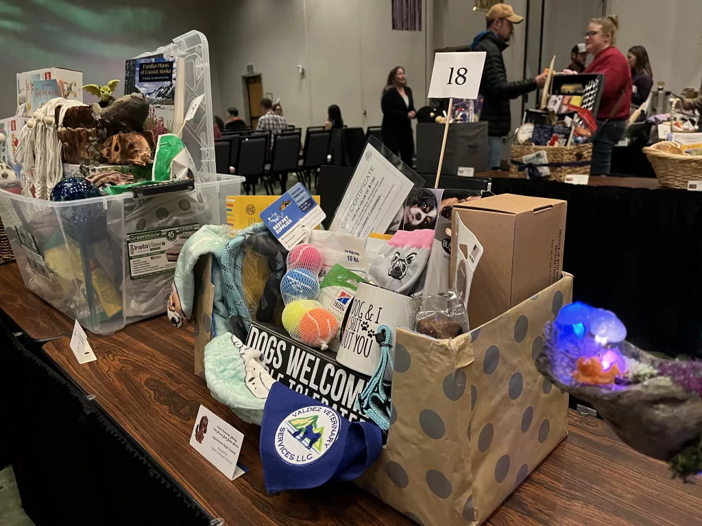 2024 Valdez Consortium Library Book Basket Auction