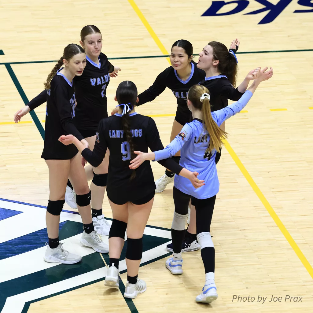 ASAA State Volleyball Championships