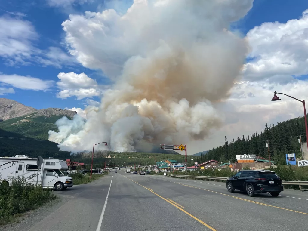 The Riley Creek Fire burned more than 400 acres within Denali National Park and Preserve in July 2024. Photo by Paul Ollig, National Park Service.