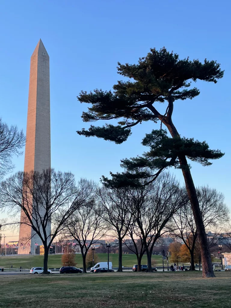 Evening sunshine strikes the Washington Monument in Washington, D.C., site of the 2024 Fall Meeting of the American Geophysical Union. Photo by Ned Rozell.