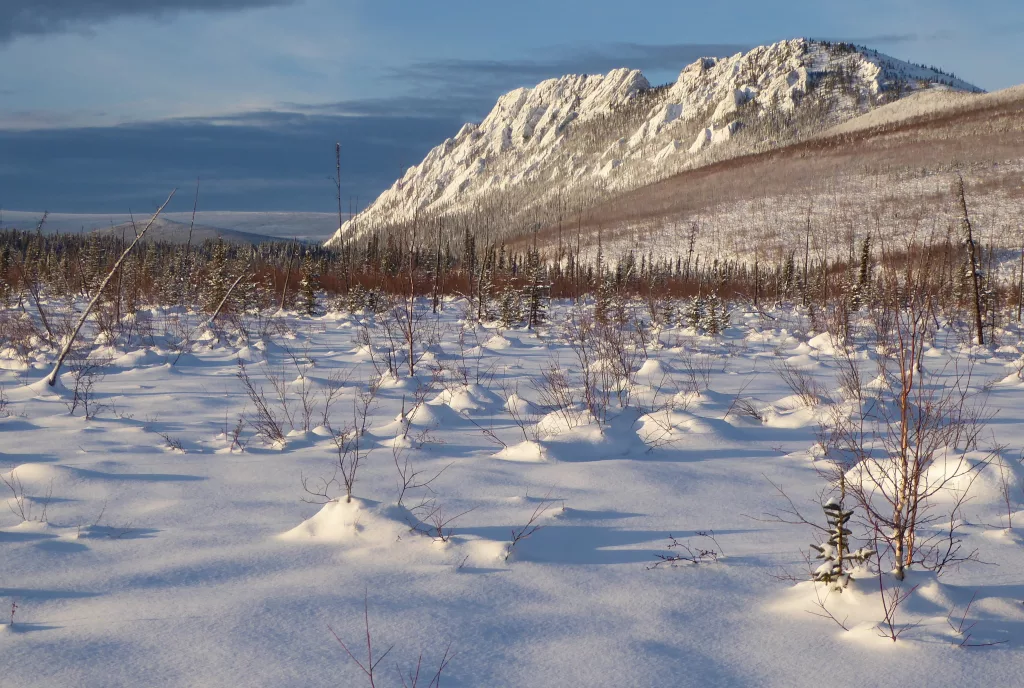 4. A rock formation rises within the White Mountains National Recreation Area north of Fairbanks. The recreation area was established in 1980 as part of the Alaska National Interest Lands Conservation Act. Photo by Ned Rozell.

 