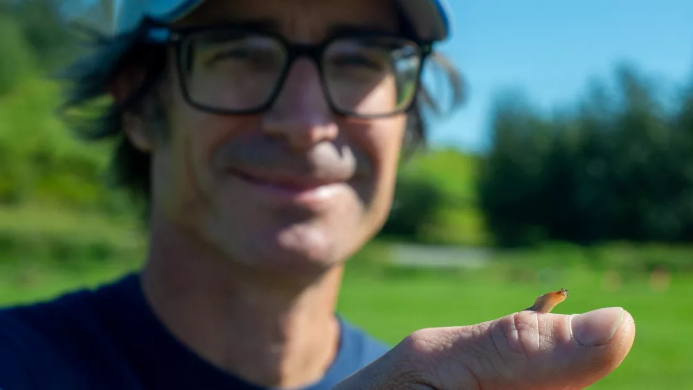 Photo by Stephen Nowers Joey Slowik, an integrated pest management technician with the UAF Cooperative Extension Service, will share stories and information about slugs, such as the one on his hand at the Matanuska Experiment Farm and Extension Center in Palmer.