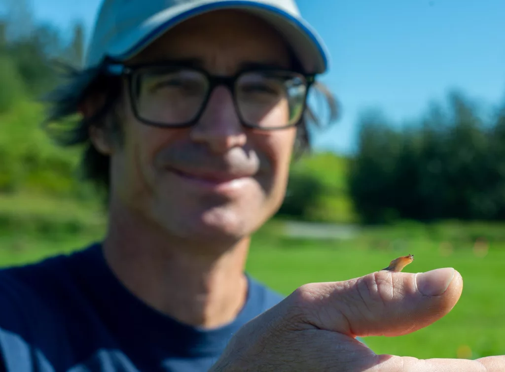 Photo by Stephen Nowers
Joey Slowik, an integrated pest management technician with the UAF Cooperative Extension Service, will share stories and information about slugs, such as the one on his hand at the Matanuska Experiment Farm and Extension Center in Palmer.