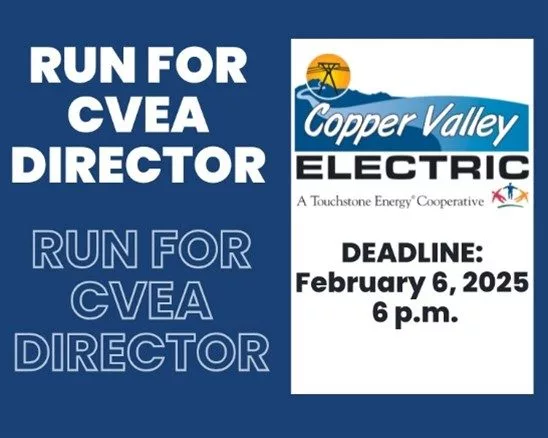 Run for CVEA Director