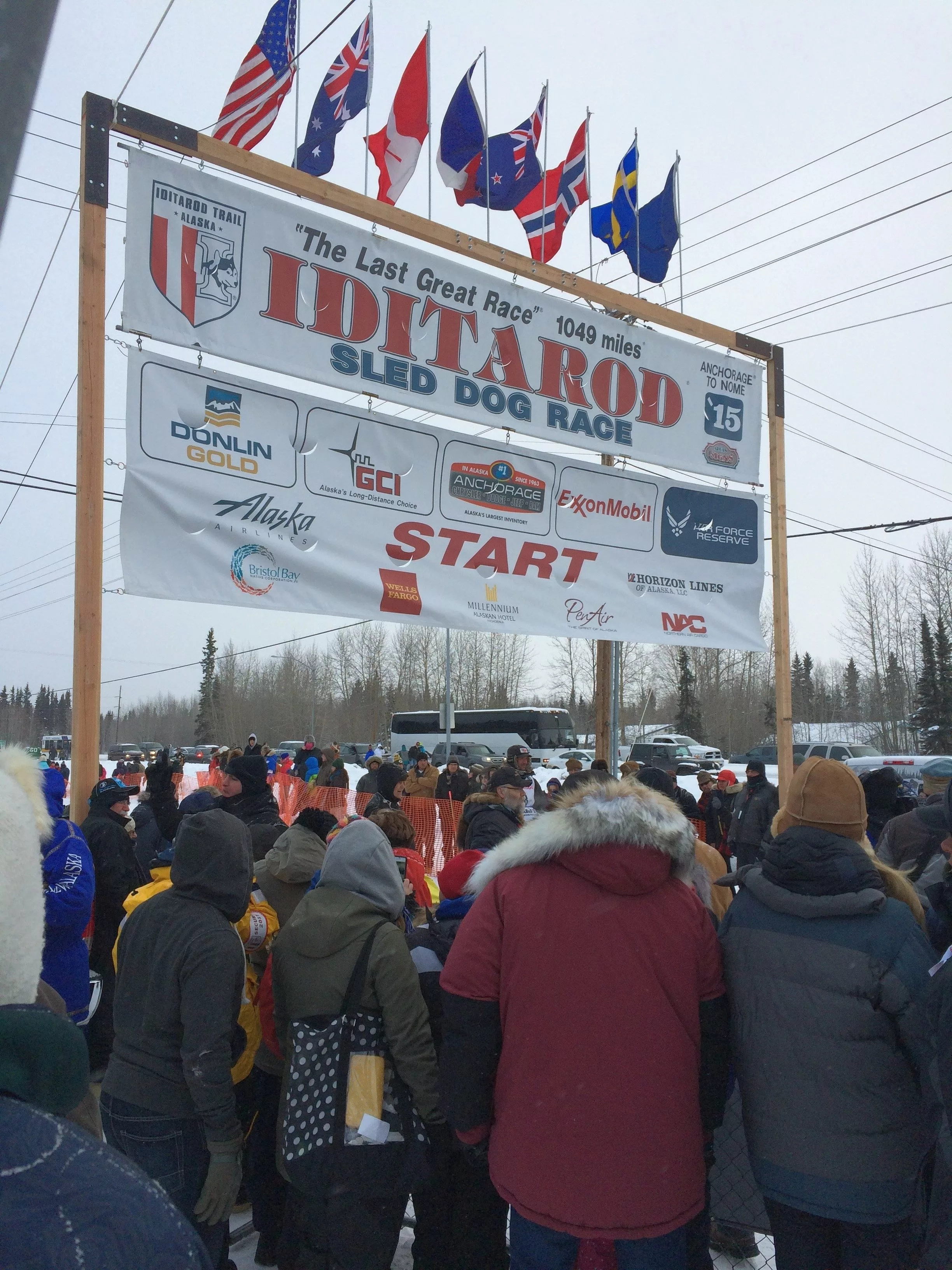 Start of the 2015 Iditarod in Fairbanks, Alaska. Photo courtesy of Kasey Gillam/Explore Fairbanks.