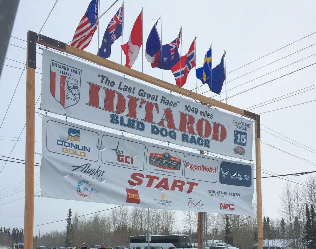 start-of-2015-iditarod-in-fairbanks-kasey-gillam-explore-fairbanks-2