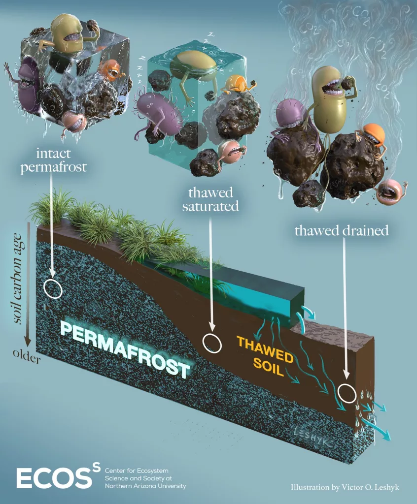 Victor Leshyk of Northern Arizona University created this artwork of microbes — in this case bacteria — and their activity in different states of frozen and unfrozen ground. Courtesy of Northern Arizona University.