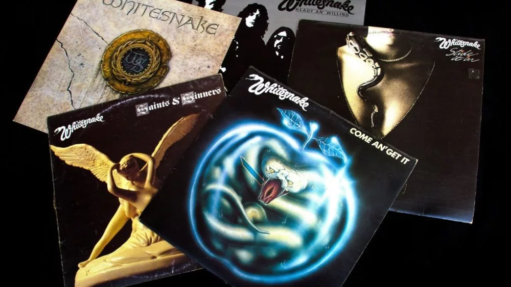 Collection of old vinyl records of rock group Whitesnake/ product shot