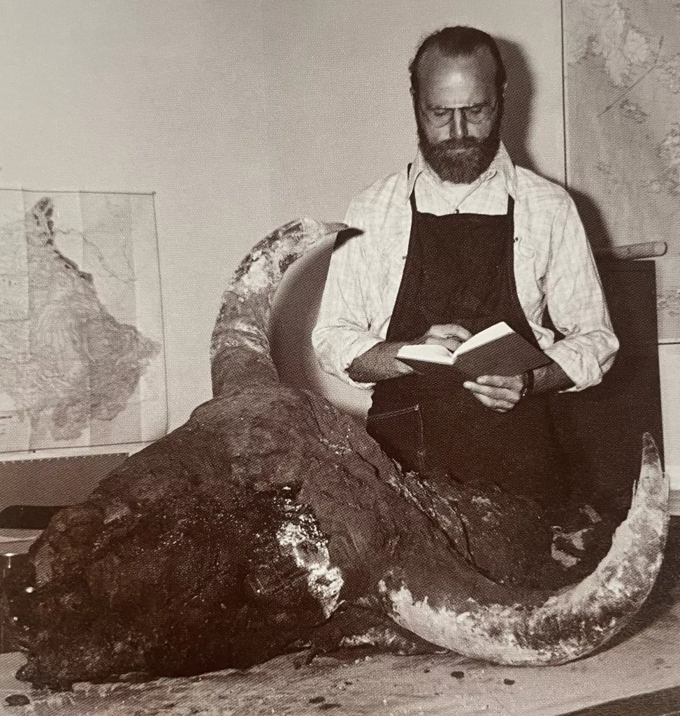 Dale Guthrie works on the preservation of Blue Babe, a steppe bison at least 50,000 years old discovered by gold miner Walter Roman in 1979. Photo by Mary Lee Guthrie.