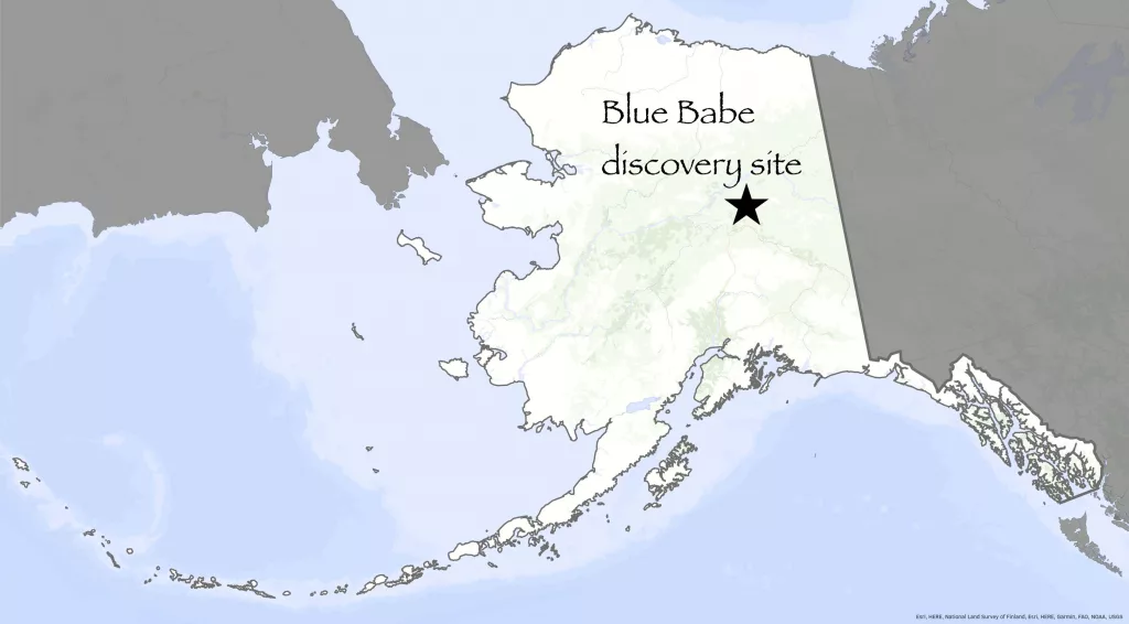 Blue Babe location