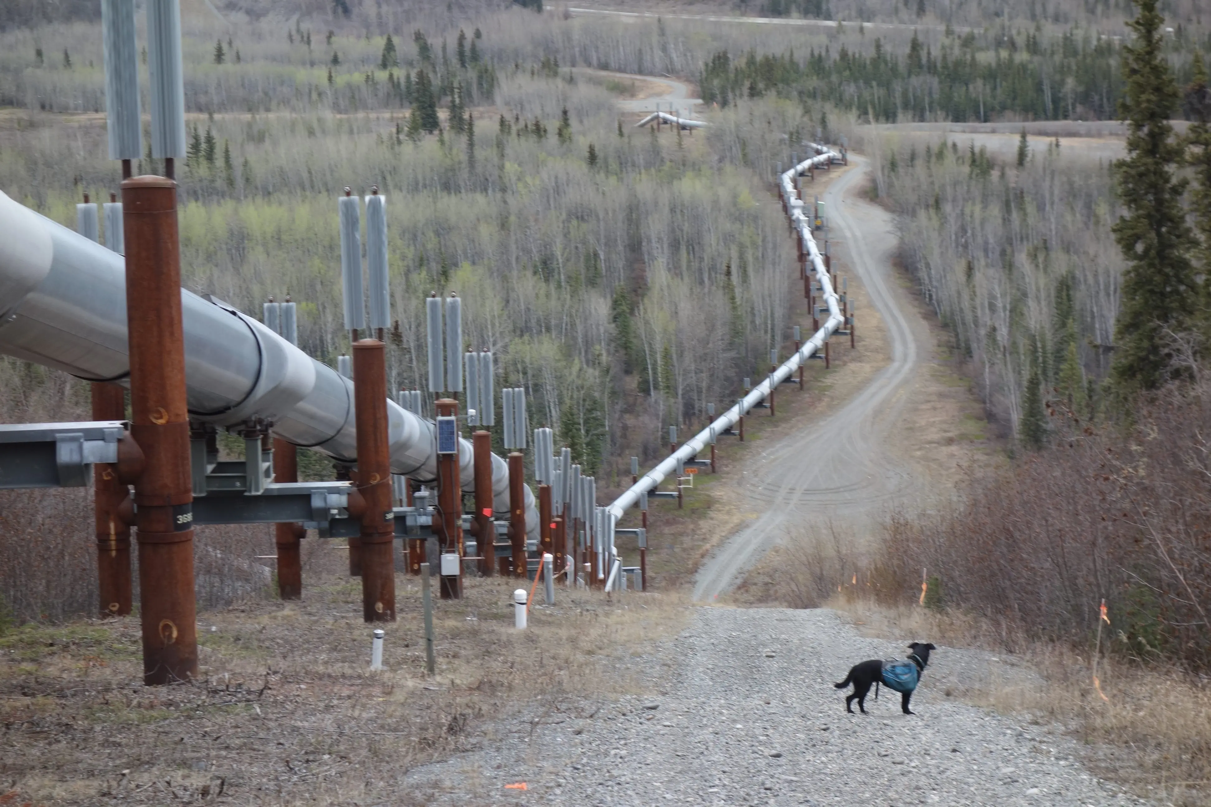 PIPELINE ALASKA　石塚 元太良　Ishizuka Gentaro PIPELINE ALASKA 石塚 元太良 Ishizuka Gentaro PIPELINE ALASKA