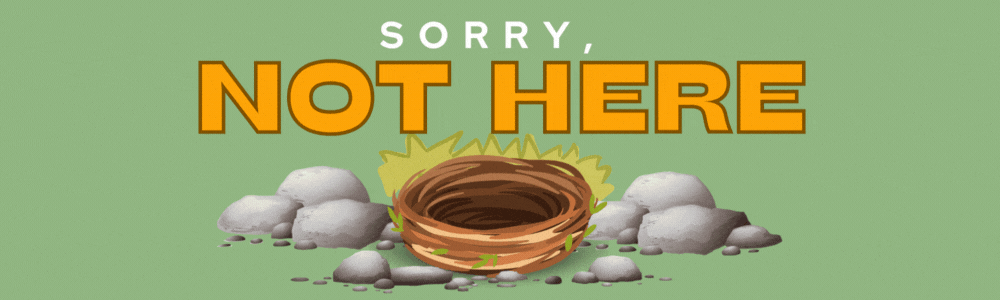 DH Duck isn't here