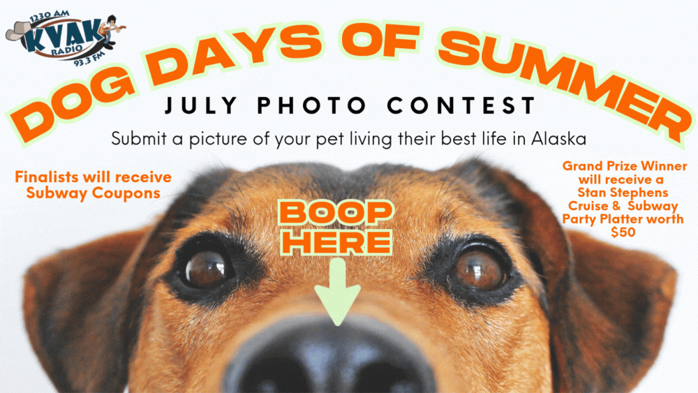 Dog Days of Summer slider