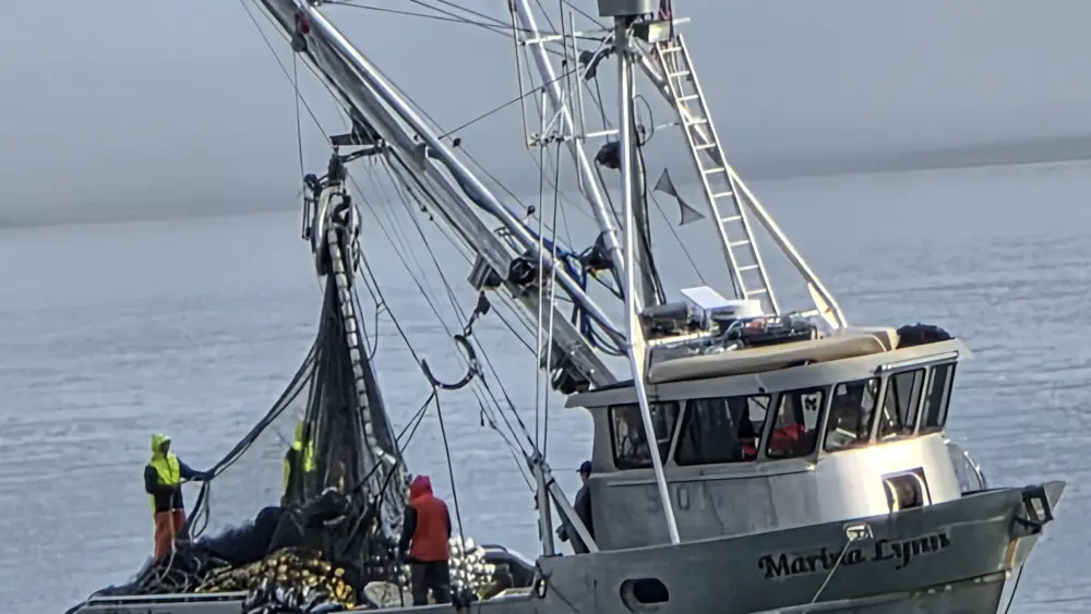 Purse Seiners in Port Valdez last Tuesday, July 2025