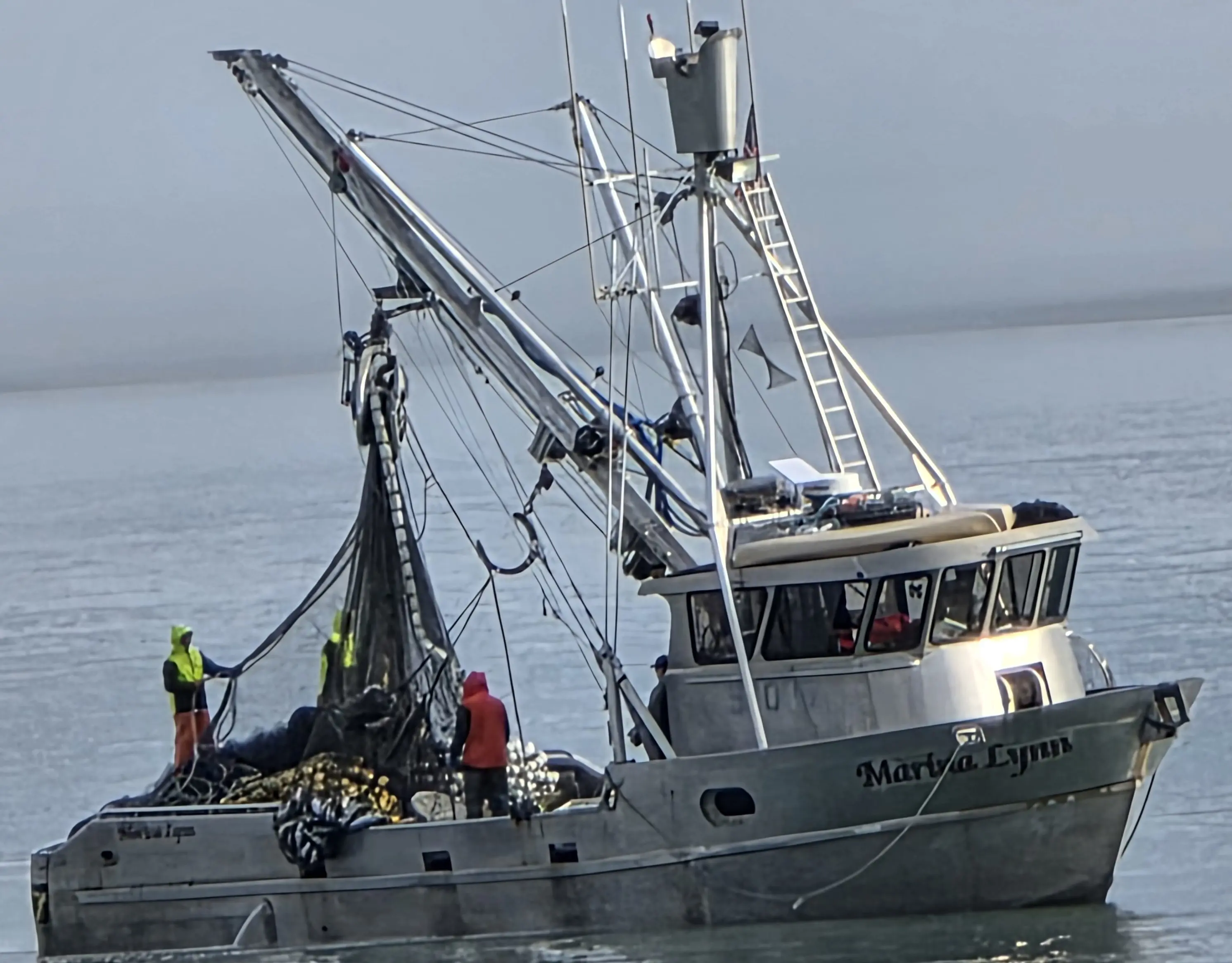 Purse Seiners in Port Valdez last Tuesday, July 2025 