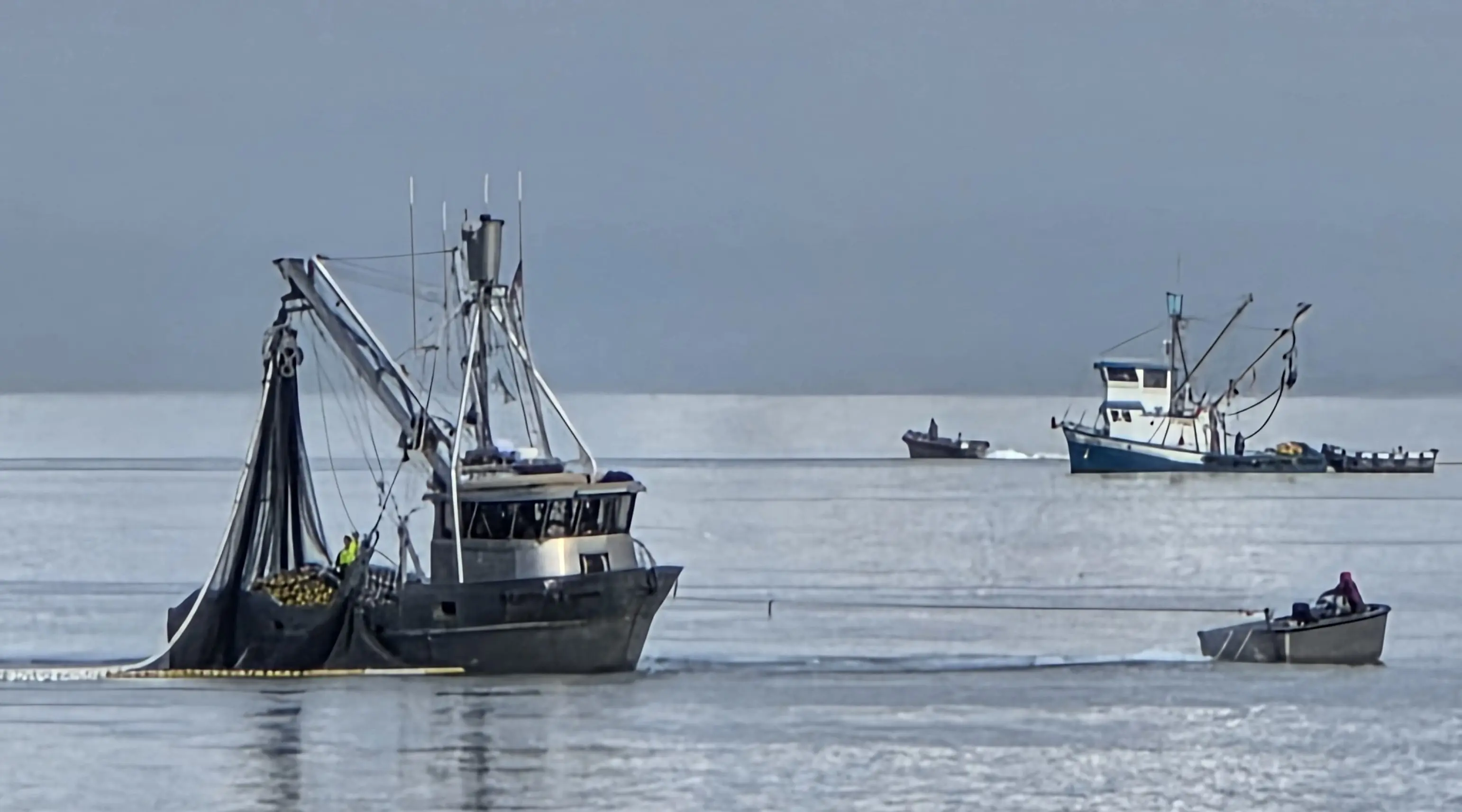 Purse Seiners in Port Valdez last Tuesday, July 2025 