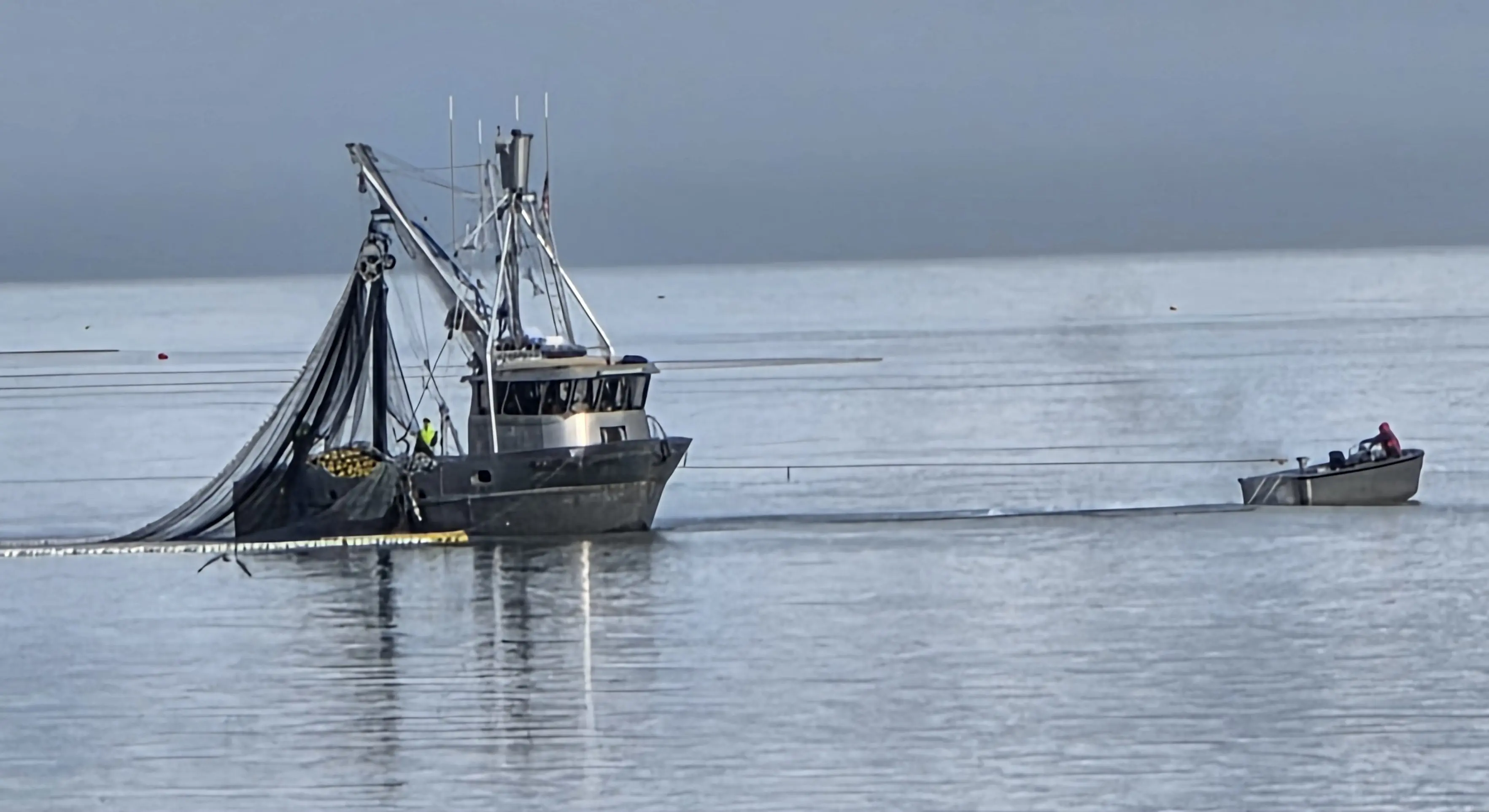 Purse Seiners in Port Valdez last Tuesday, July 2025 
