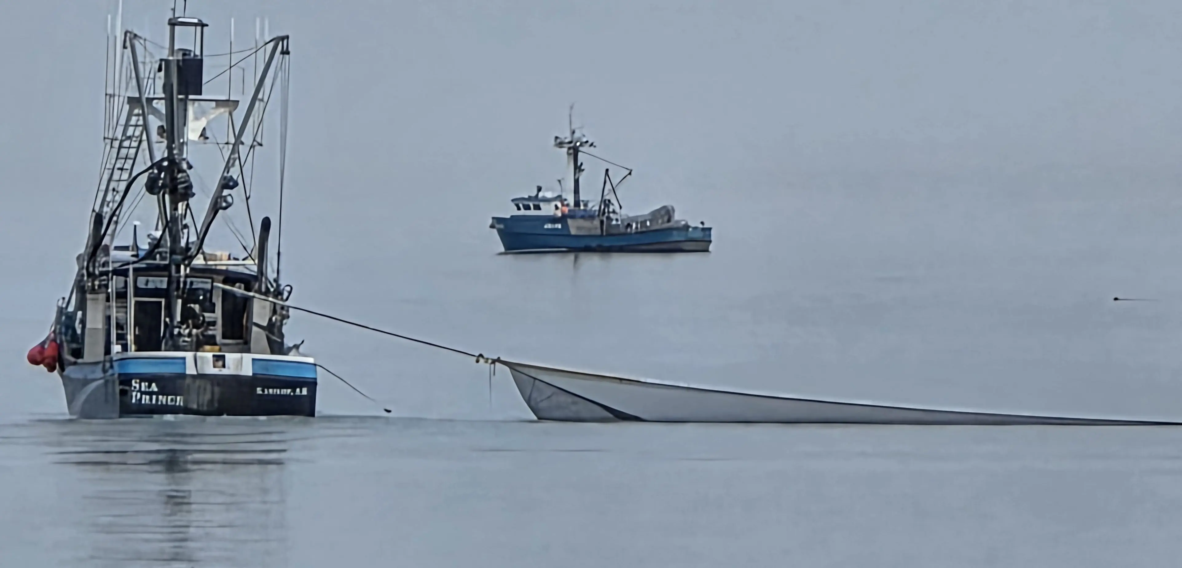 Purse Seiners in Port Valdez last Tuesday, July 2025 