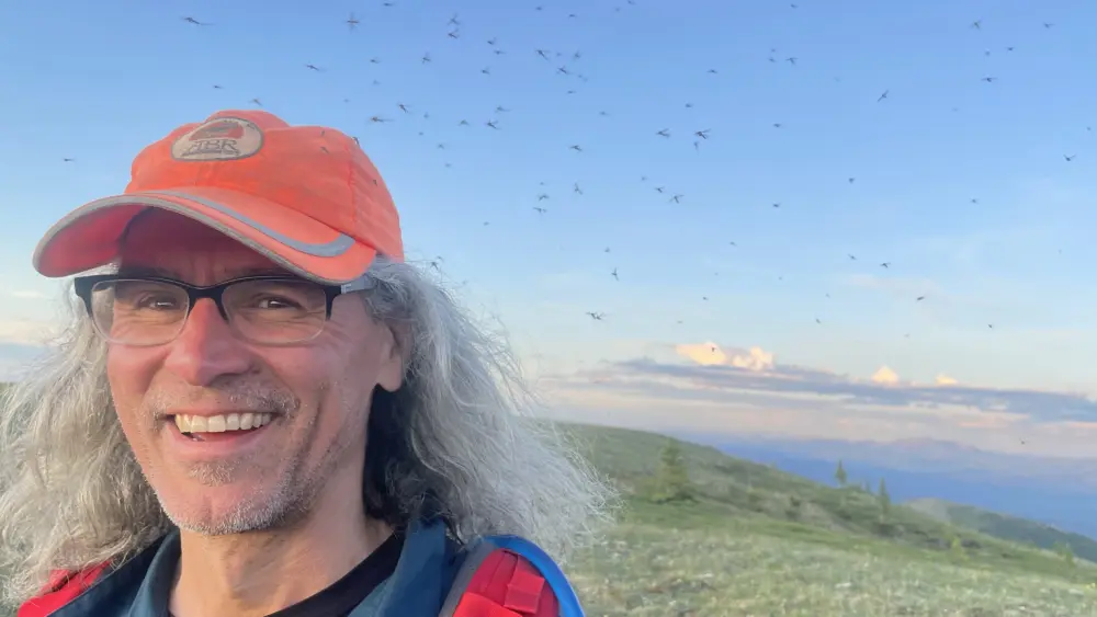 Mosquitoes follow Chris Swingley as he hikes the Chena Dome Trail in late June 2025. Photo by Ned Rozell.