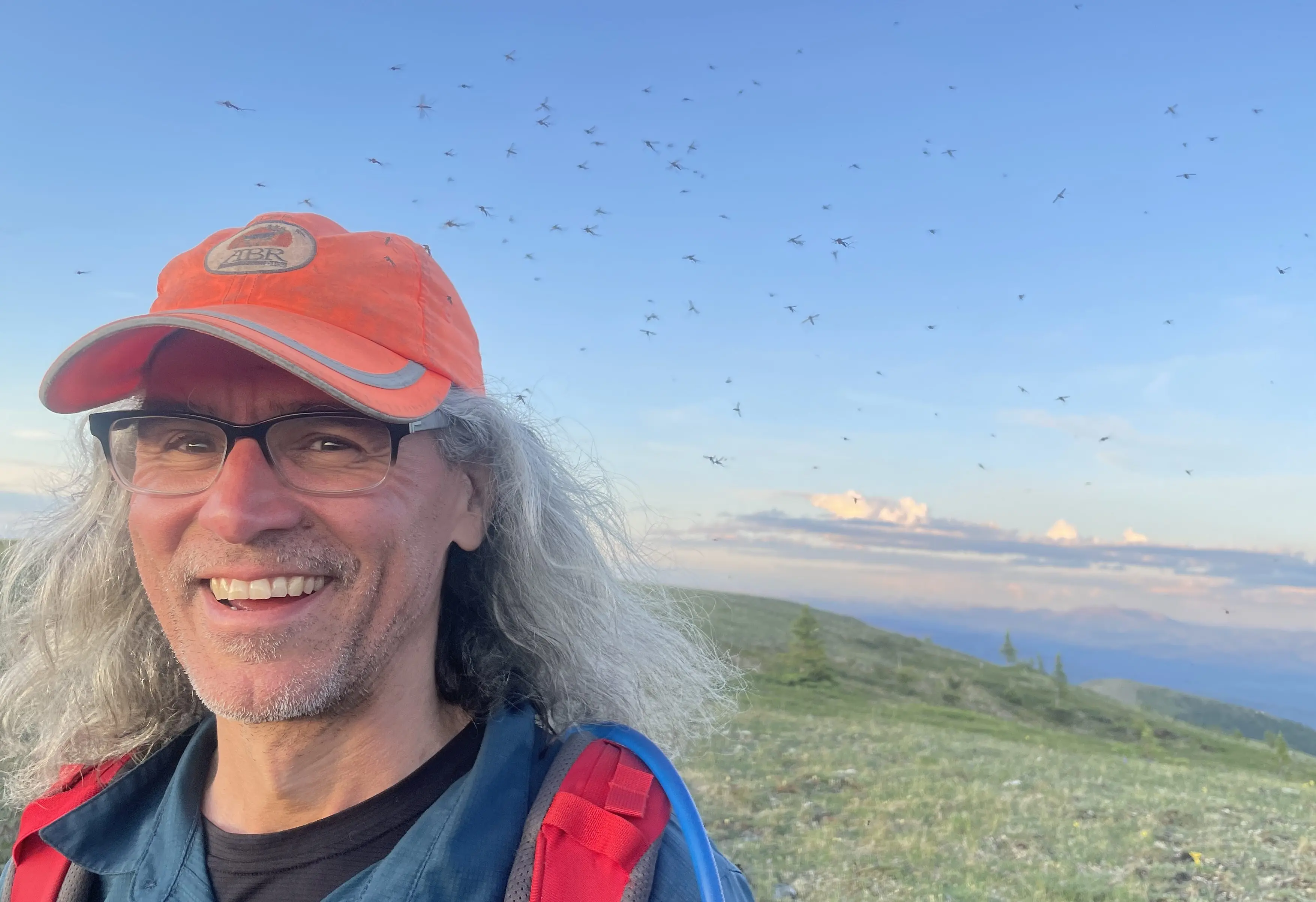 Mosquitoes follow Chris Swingley as he hikes the Chena Dome Trail in late June 2025. Photo by Ned Rozell.